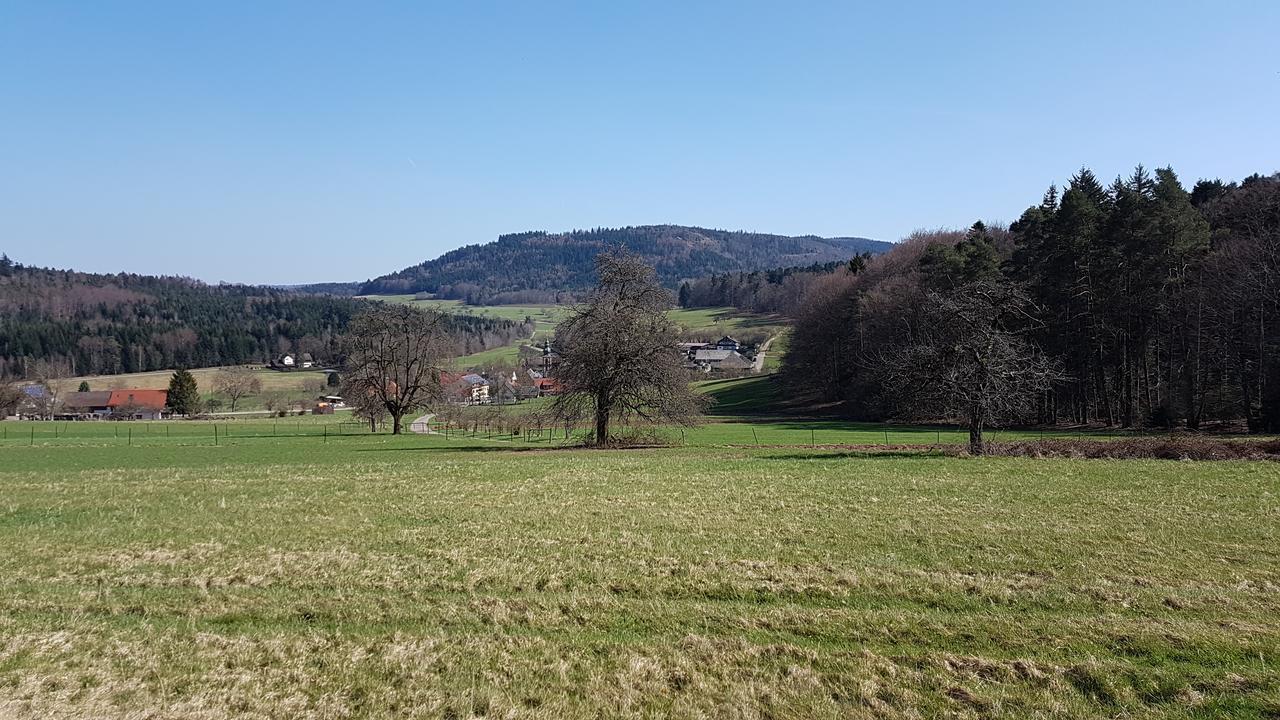 Platzhirsch Gaggenau